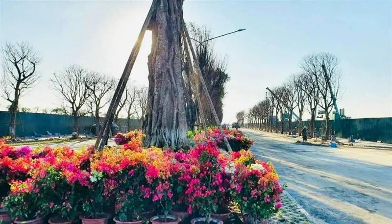 Tiến độ dự án Eco Central Nhơn Trạch-5